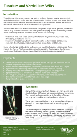 Fusarium and Verticillium Wilts