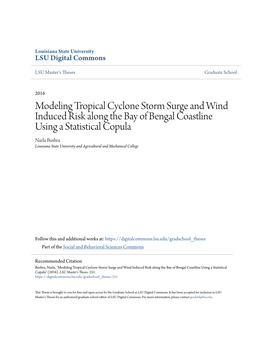 Modeling Tropical Cyclone Storm Surge and Wind Induced Risk