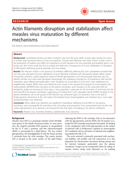 Actin Filaments Disruption and Stabilization Affect Measles Virus Maturation by Different Mechanisms Erik Dietzel, Larissa Kolesnikova and Andrea Maisner*