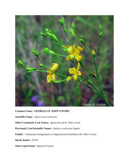 Common Name: GEORGIA ST. JOHN's-WORT Scientific Name