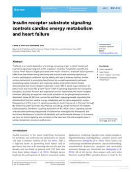 Insulin Receptor Substrate Signaling Controls Cardiac Energy Metabolism and Heart Failure