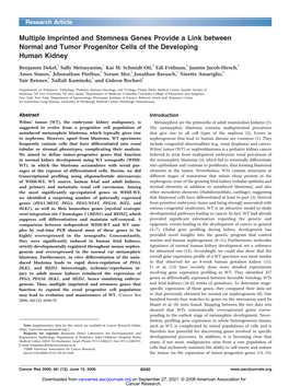 Multiple Imprinted and Stemness Genes Provide a Link Between Normal and Tumor Progenitor Cells of the Developing Human Kidney