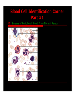 Blood Cell Identification Corner Part #1  Smears of Peripheral Blood from Normal Person