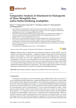 Comparative Analysis of Attachment to Chalcopyrite of Three Mesophilic Iron And/Or Sulfur-Oxidizing Acidophiles