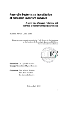 Anaerobic Bacteria: an Investigation of Metabolic Important Enzymes