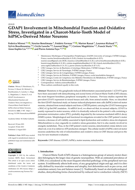 GDAP1 Involvement in Mitochondrial Function and Oxidative Stress, Investigated in a Charcot-Marie-Tooth Model of Hipscs-Derived Motor Neurons