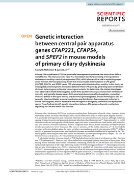 Genetic Interaction Between Central Pair Apparatus Genes CFAP221, CFAP54, and SPEF2 in Mouse Models of Primary Ciliary Dyskinesia Casey W