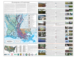 Level IV Ecoregions of Louisiana