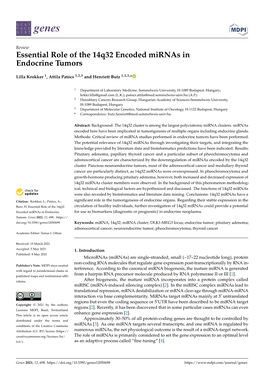 Essential Role of the 14Q32 Encoded Mirnas in Endocrine Tumors