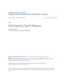 DNA Uptake by Type IV Filaments Kurt H