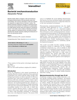 Bacterial Mechanotransduction