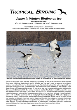Japan in Winter: Birding on Ice Set Departure Tour 6Th – 19Th February, 2016 Extension: 19Th – 20Th February, 2016