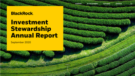 Investment Stewardship Annual Report September 2020
