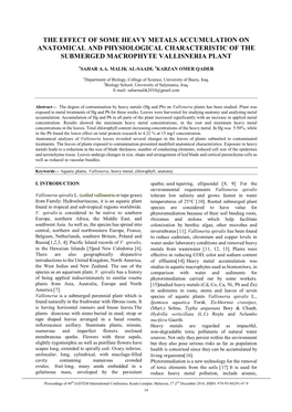 The Effect of Some Heavy Metals Accumulation on Anatomical and Physiological Characteristic of the Submerged Macrophyte Vallisneria Plant