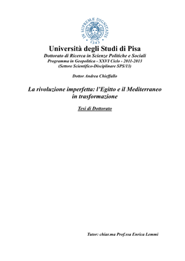 Università Degli Studi Di Pisa