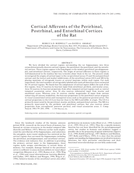 Cortical Afferents of the Perirhinal, Postrhinal, and Entorhinal Cortices of the Rat