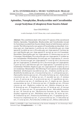 Apionidae, Nanophyidae, Brachyceridae and Curculionidae Except Scolytinae (Coleoptera) from Socotra Island