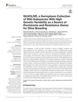 SILVOLIVE, a Germplasm Collection of Wild Subspecies with High Genetic Variability As a Source of Rootstocks and Resistance Genes for Olive Breeding