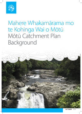 Mōtū Catchment Plan Background