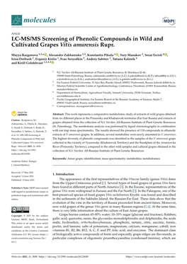 LC-MS/MS Screening of Phenolic Compounds in Wild and Cultivated Grapes Vitis Amurensis Rupr