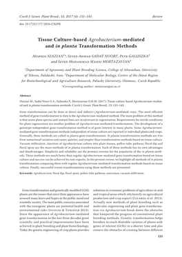 Tissue Culture-Based Agrobacterium-Mediated and in Planta Transformation Methods