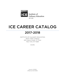 Ice Career Catalog