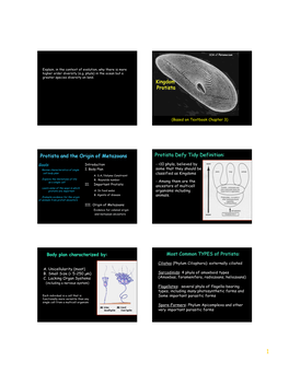 Kingdom Protista Protista and the Origin of Metazoans Protista Defy Tidy Definition