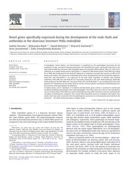 Novel Genes Specifically Expressed During the Development of the Male Thalli and Antheridia in the Dioecious Liverwort Pellia En