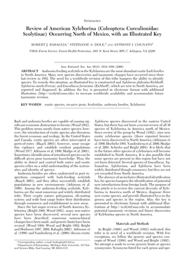 Coleoptera: Curculionidae: Scolytinae) Occurring North of Mexico, with an Illustrated Key