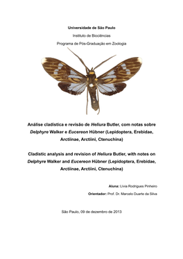 Lepidoptera, Erebidae, Arctiinae, Arctiini, Ctenuchina)