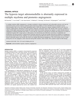 The Hypoxia Target Adrenomedullin Is Aberrantly Expressed in Multiple Myeloma and Promotes Angiogenesis