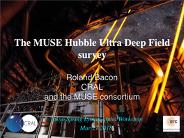 The MUSE Hubble Ultra Deep Field Survey