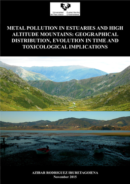 Metal Pollution in Estuaries and High Altitude Mountains: Geographical Distribution, Evolution in Time and Toxicological Implications