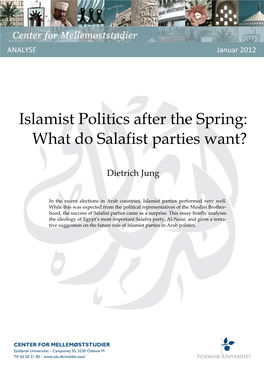 Islamist Politics After the Spring: What Do Salafist Parties Want?