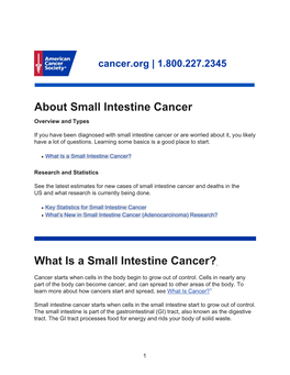 What Is a Small Intestine Cancer?