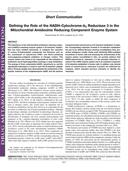 Defining the Role of the NADH–Cytochrome-B5 Reductase 3 in the Mitochondrial Amidoxime Reducing Component Enzyme System