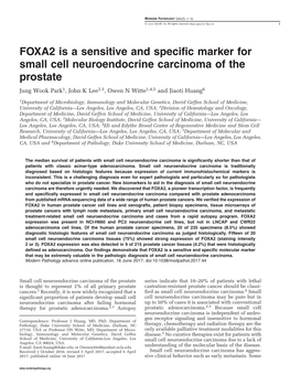 FOXA2 Is a Sensitive and Specific Marker for Small Cell Neuroendocrine Carcinoma of the Prostate Jung Wook Park1, John K Lee2,3, Owen N Witte1,4,5 and Jiaoti Huang6