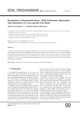 Revalidation of Handschinia Stach, 1949 (Collembola, Neanuridae) with Description of a New Species from Brazil