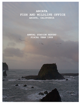 Annual Station Report, Arcata Fish and Wildlife Office, FY1999