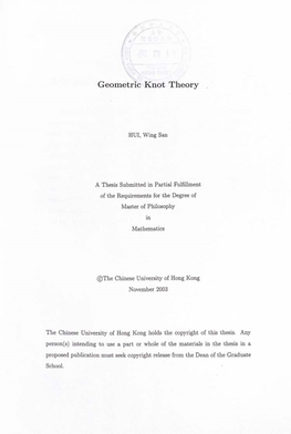 Geometric Knot Theory