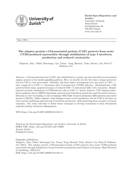 The Adapter Protein C-Cbl-Associated Protein