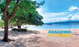 Awakening of the Senses, Gili Trawangan Is Not Just About Having