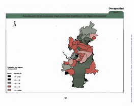 Síntesis De Resultados : Zona Metropolitana De Puebla