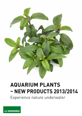 Aquarium Plants – New Products 2013/2014 Experience Nature Underwater Dennerle - Experience Nature