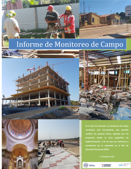 Informe De Monitoreo De Campo