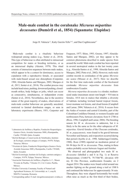 Male-Male Combat in the Coralsnake Micrurus Mipartitus Decussatus (Duméril Et Al., 1854) (Squamata: Elapidae)