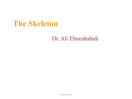 The Skeleton