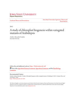 A Study of Chloroplast Biogenesis Within Variegated Mutants of Arabidopsis Andrew Alexander Foudree Iowa State University