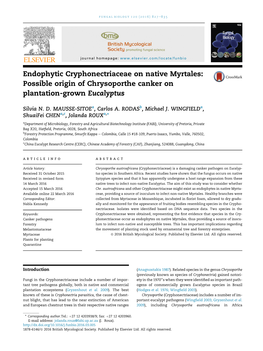 Endophytic Cryphonectriaceae on Native Myrtales: Possible Origin of Chrysoporthe Canker on Plantation-Grown Eucalyptus