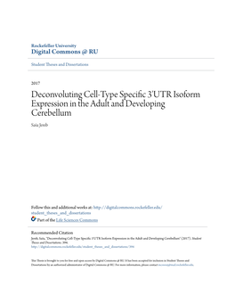 Deconvoluting Cell-Type Specific 3'UTR Isoform Expression in the Adult and Developing Cerebellum Saša Jereb